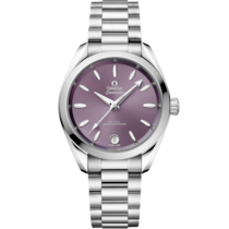 Seamaster Aqua Terra Shades 34 mm, acciaio su acciaio - 220.10.34.20.10.002