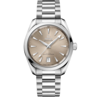 Seamaster Aqua Terra Shades 38 mm, acciaio su acciaio - 220.10.38.20.09.001
