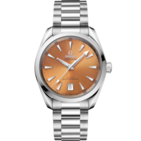 Seamaster Aqua Terra Shades 38 mm, acciaio su acciaio - 220.10.38.20.12.001
